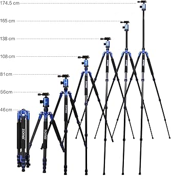 Amazon.com : Zomei Z888C Professional Portable Carbon Fiber Tripod
